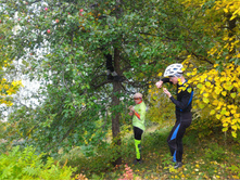 P 20160924 133934.jpg