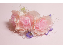 ������ 0091.jpg