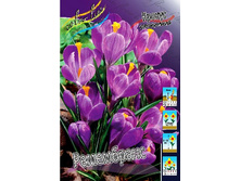 9,13���. ������ ����������(���������� ������ ������ ���������� �� 10 ��.).jpg