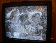 �*�*�*�*�*� � ���������� ��������