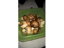 WP 20160818 13 25 42 Pro.jpg
