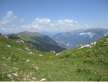 ���� 2014 693.jpg