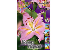 29���. ����� ����� �����(��� 7 ��. ���������� ������ 3 ��� 4 ��.).jpg