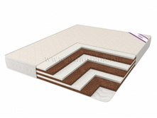 ������ �������