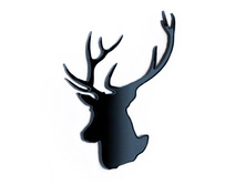 ����� ����� (������ ���������)