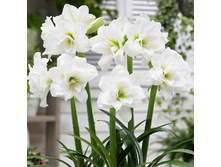 ����������� �������� ������.jpg