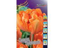 17,56���. ������� ����� ��������(��� 10 ��. ���������� ������ 5��.).jpg