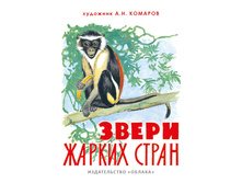 ����� ������ �����