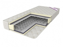 ������ ����