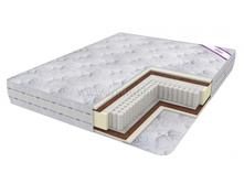 ������ ���������