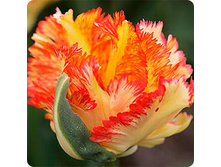 ������� ��������� ����� 12+ (3��) ������ ���� 301,94 ���. ����� ���� 256,65 ���.jpeg