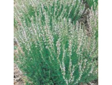 �����-���� 5,7 ���. - 0,2 ��. �������������.jpg