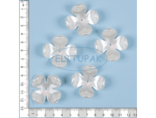 ��00008 �������� ��� ������ ������ №6 (5 ��. � ����.) 52 ���.