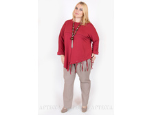 ������ V037.4