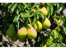 ����� ������-160�.jpg