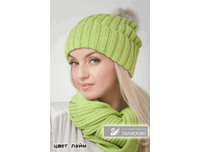 ������ ������ � �������� � ����� ���� 1060