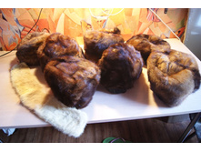 ������ 002.jpg