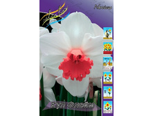 21,3���. ������� ��� �����(��� 10 ��. ���������� ������ 5��.).jpg