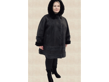 �� ����������� ���̣���. ��������� ������. 9900 ���. - 66 ����.