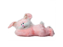 ������ ���������.jpg