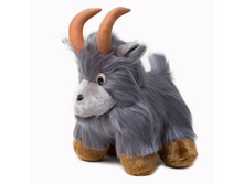 ����� ����.jpg