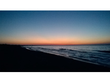 WP 20160906 19 37 06 Pro.jpg