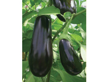 �������� ����� 5,8 ����. - 0,2 ��..jpg