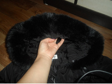 � ����.����