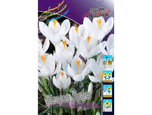 11,18���. ������ ����� ����(���������� ������ ������ ���������� �� 8 ��.).jpg