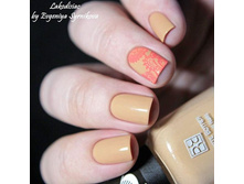 ������� ����� ��� ��� ������ Nude Collection ��� NDC 188 ����-����� (����. 3 ��)