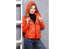 ������ �����2 - ��������� 50 (1242 ���) �������� ���� + �������� (8 ��) + ��������� ������.jpg