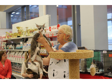 14249697 1102189953196390 8811274243544394276 o.jpg