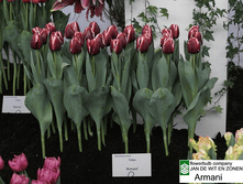 ������� ������ 12 ���. �� 1 ��. ����� ����������� ������ 5 ��. (�.�. 5,10,15,20 � �.�.) ��� ��������� ������. ������� ����� ��� ���� � ��������.png