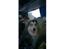 WP 20160912 18 03 18 Pro.jpg