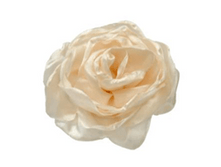 2-450 ������� TRESTELLE � ������� 6 �� ����  183,96