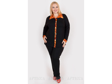 ������ V230.2