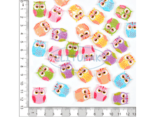 ��00021 ������� ������ ��������� ������� (30 ��. � ����.) 242 ���.