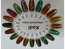105260261441362490.800x600.jpg