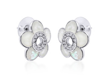 V040621E-003 (320 ���) ������(������� ���������,�����,���������,�������� �����������.jpg