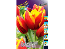 25,36���. ������� ��������(��� 7 ��. ���������� ������ 3 ��� 4 ��.).jpg