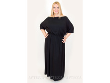 ������ SV201.1