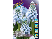 11,7���. ������� ������ ������(���������� ������ ������ ���������� �� 5 ��.).jpg