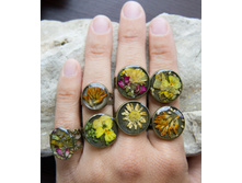 ������ ��� �������