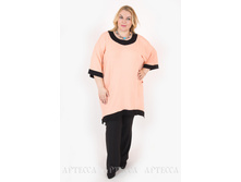 ������ V205.10