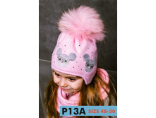 ����� ������� � �/� ��������� (������) - P13-A, 420 ���.