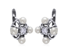 J14331g0 (271 ���) ���� j143 3 g0 (������), �������� - ���Σ��� ����������, ������� - ������.jpg