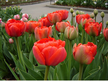 ������� ������� ��� ���������������� ������. ����� ������ �� ���������.jpg