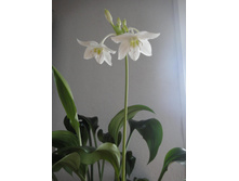 �������-���������� ����� �����.jpg