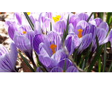 ������ ���� �� ������ 7-8 ����������.(25��) ������ ���� 187,6 ���. ����� ���� 159,46 ���.gif