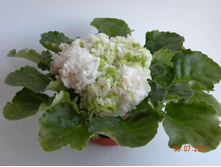 ��=�����(2011) ���� ����